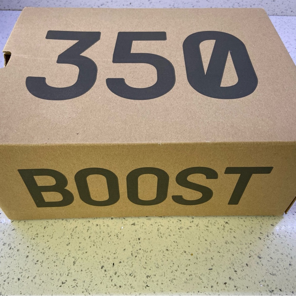 Yeezy boost 350 V2